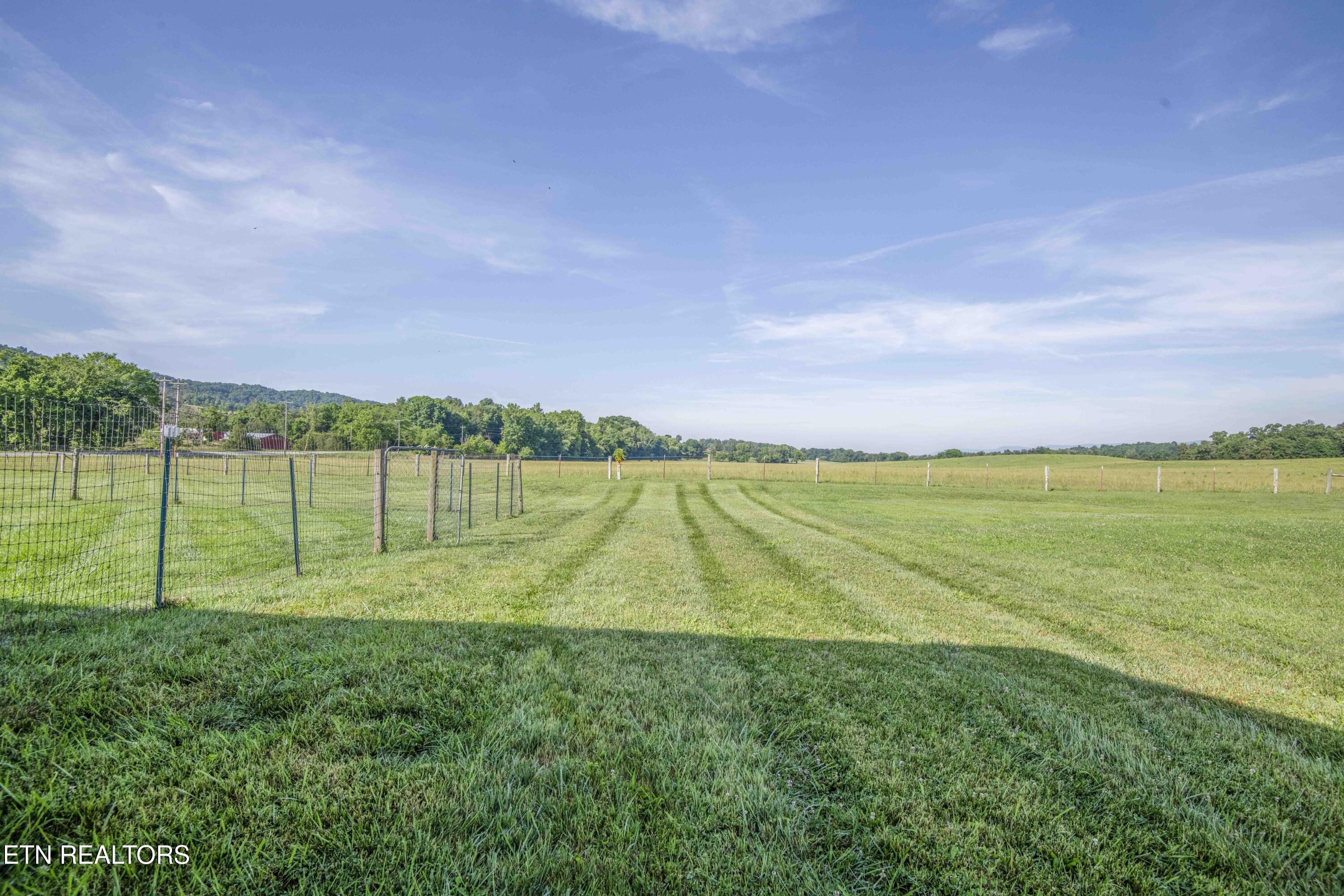 101 Big Valley Road Andersonville, TN 37705 - Photo 45 of 55 yard 8_1