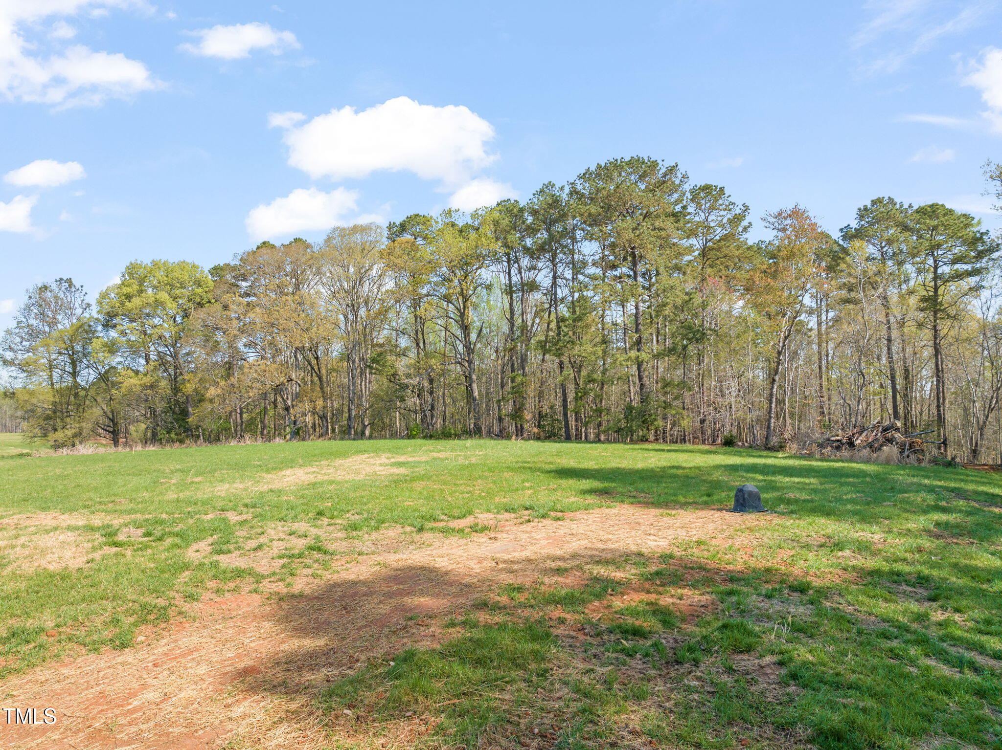 9550 Stallings Road Spring Hope, NC 27882 - Photo 6 of 33 28-web-or-mls-DJI_0741