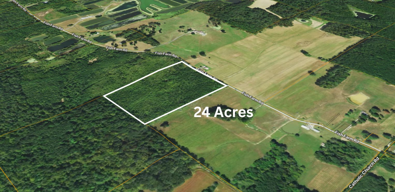 72 Fish Farm Road Golconda, IL 62938 - Photo 4 of 15