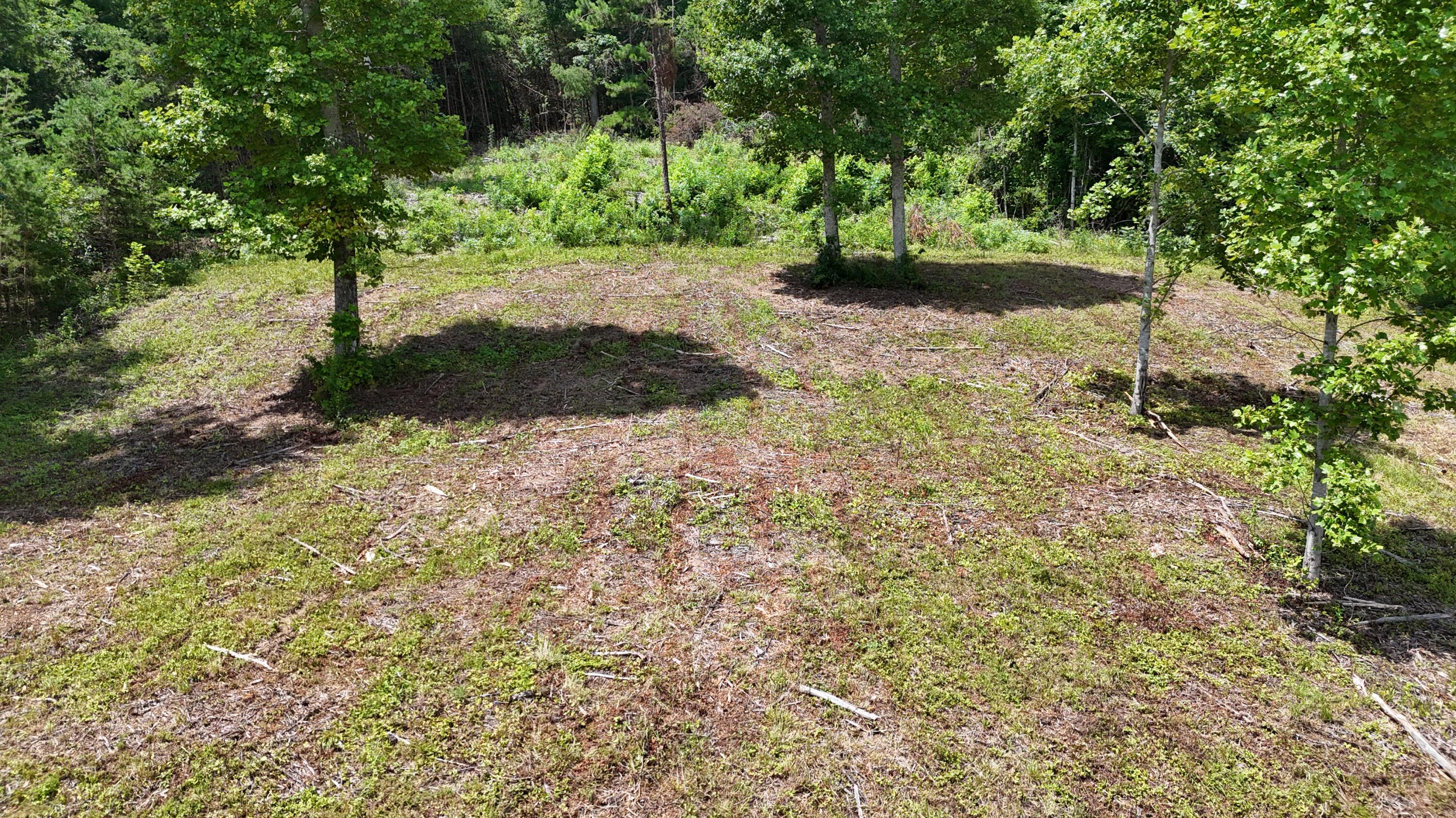 999 Lick Fork Road London, KY 40741 - Photo 16 of 21 DJI_20260717124511_0292_D