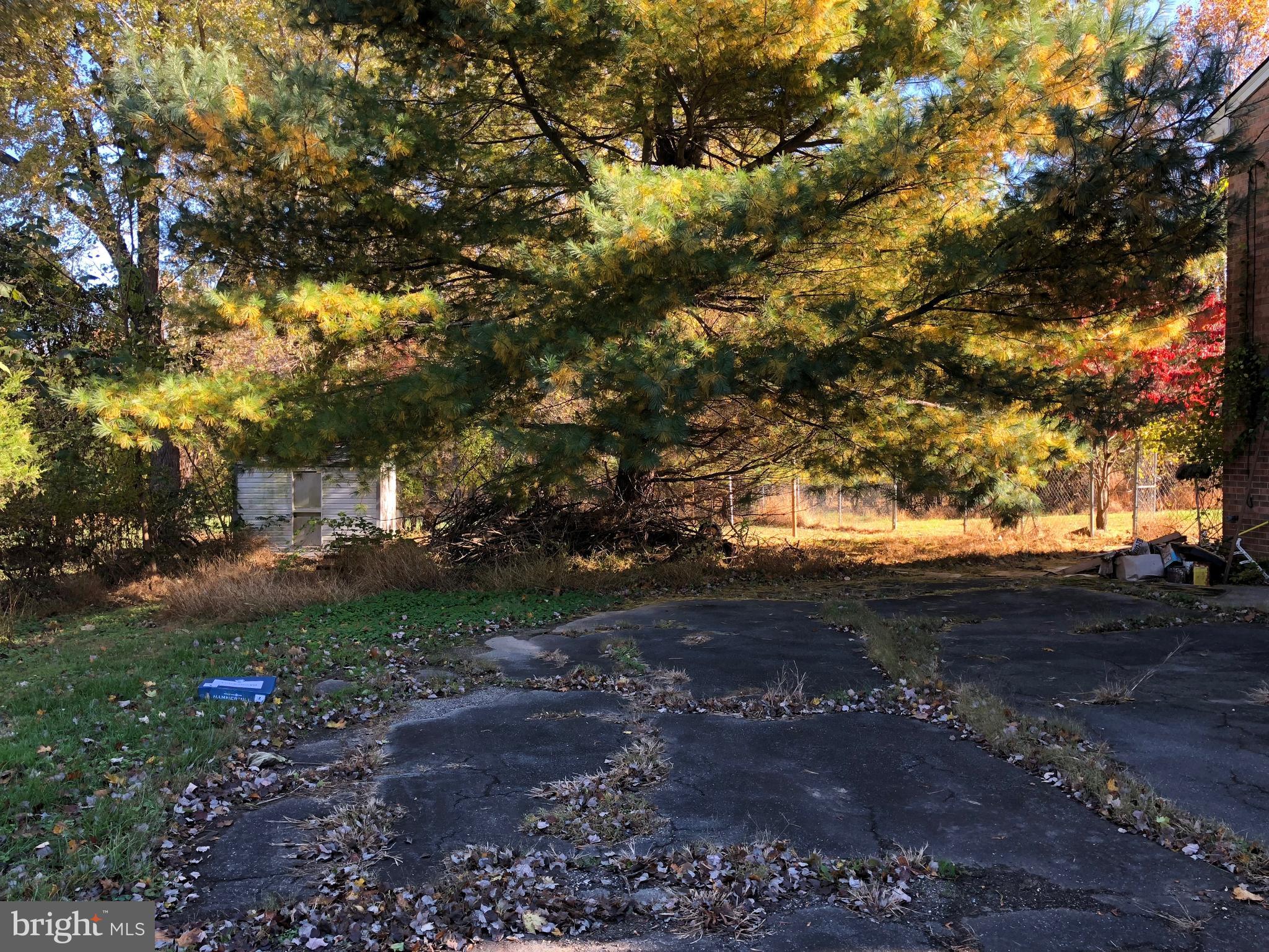 16031 Riffle Ford Road Gaithersburg, MD 20878 - Photo 22 of 23 a view of dirt yard with large trees