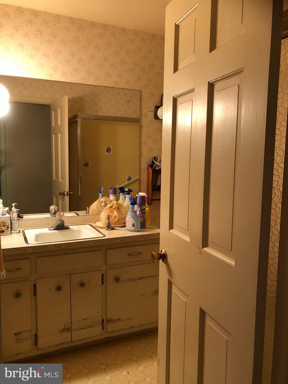 16031 Riffle Ford Road Gaithersburg, MD 20878 - Photo 8 of 23 a bathroom with a sink and a mirror