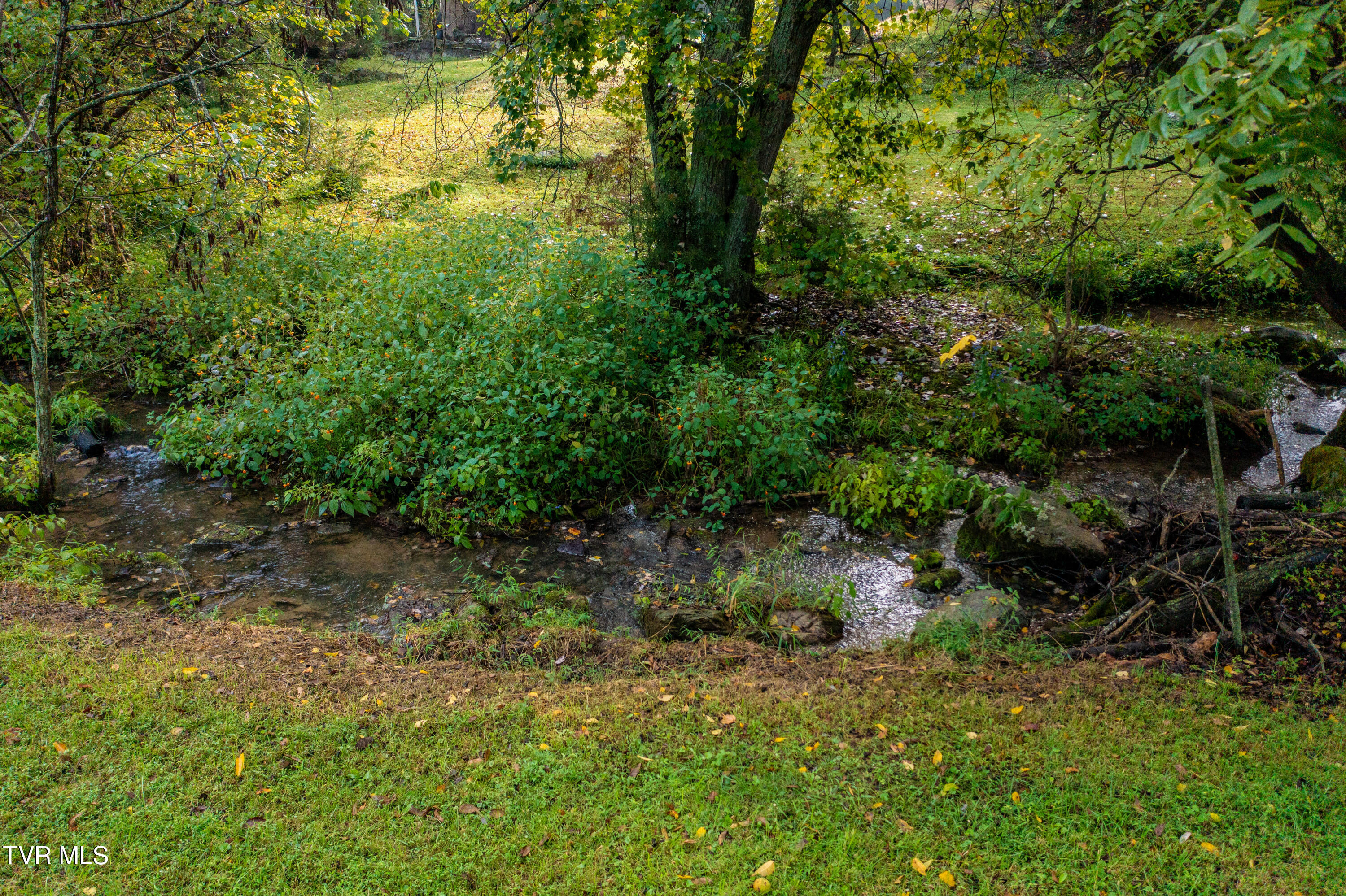 1980 Stone Dam Road Chuckey, TN 37641 - Photo 6 of 25 Stone Dam Rd-33