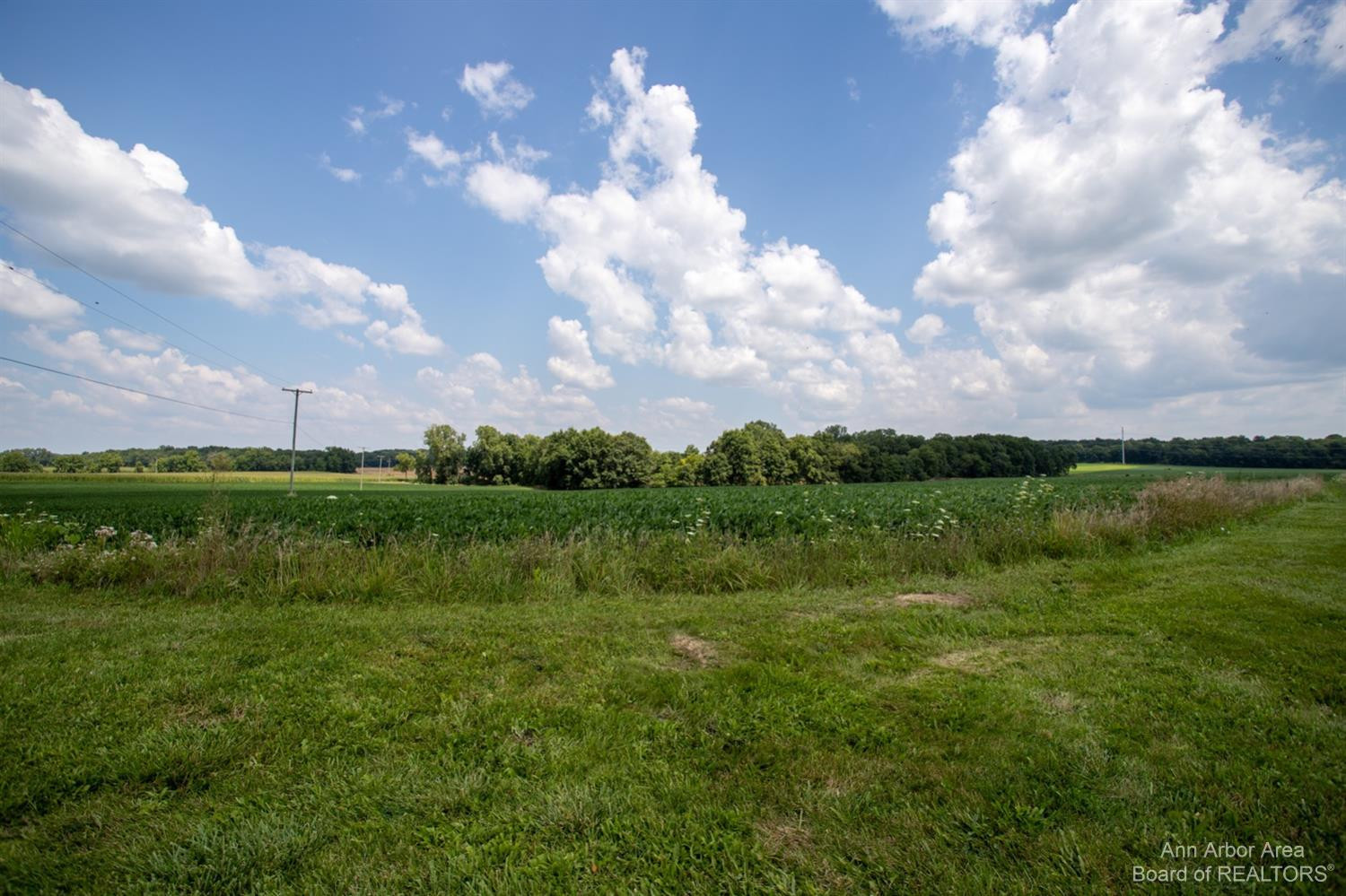 10337 Lima Center Road Manchester, MI 48158 - Photo 57 of 58 Photo 57