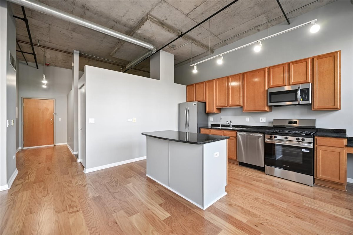 6 South Laflin Street, Unit 304 Chicago, IL 60607 - Photo 11 of 19 Gallery Image 11