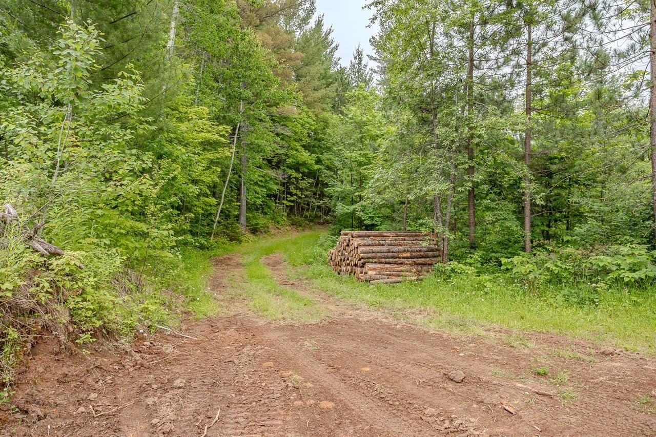 W4601 Olivotti Lake Road Merrill, WI 54452 - Photo 32 of 45