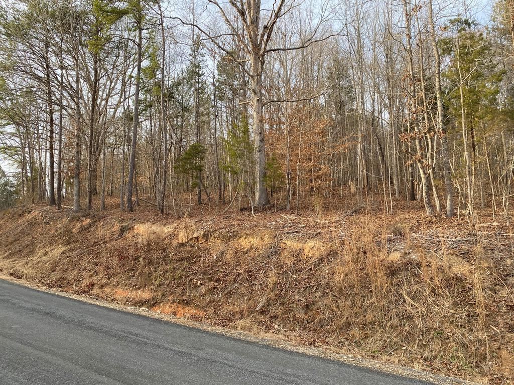 1330 McKnight Road Smyrna, SC 29743 - Photo 5 of 5 Gallery Image 5