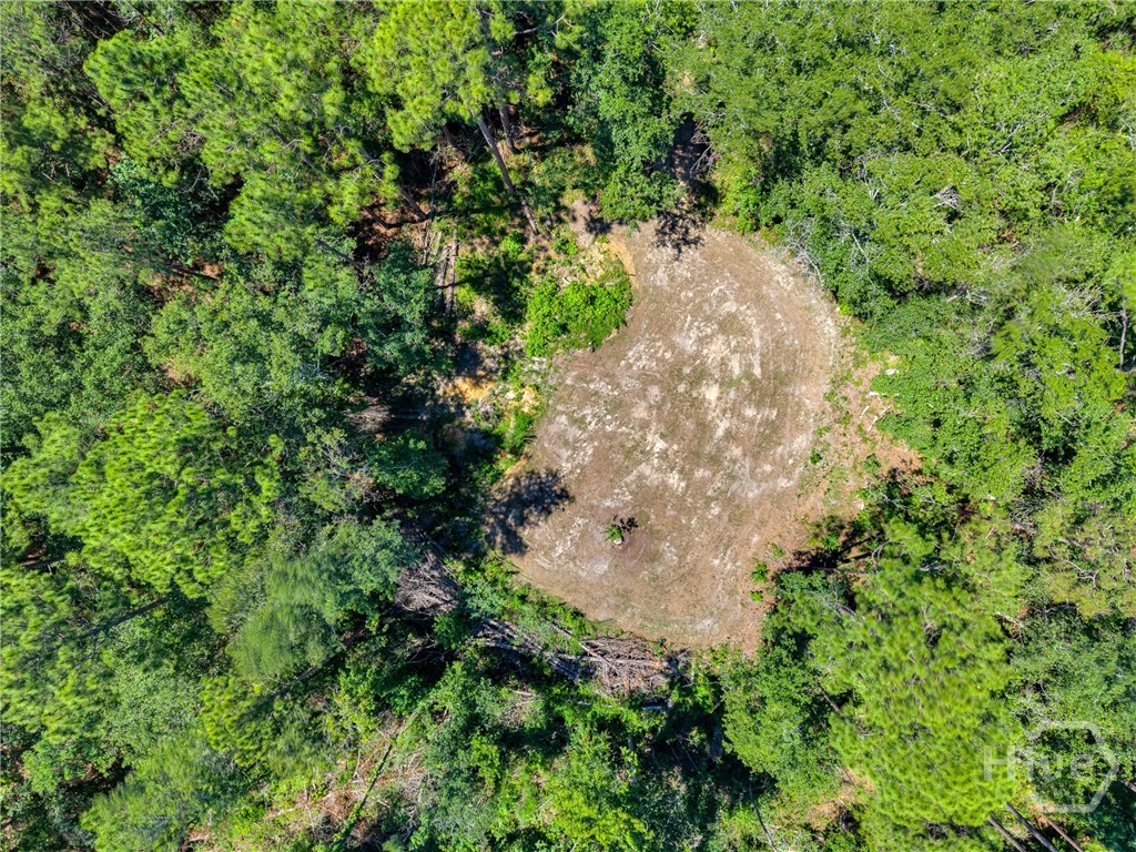 2997 Jason Franklin Road Register, GA 30452 - Photo 51 of 61