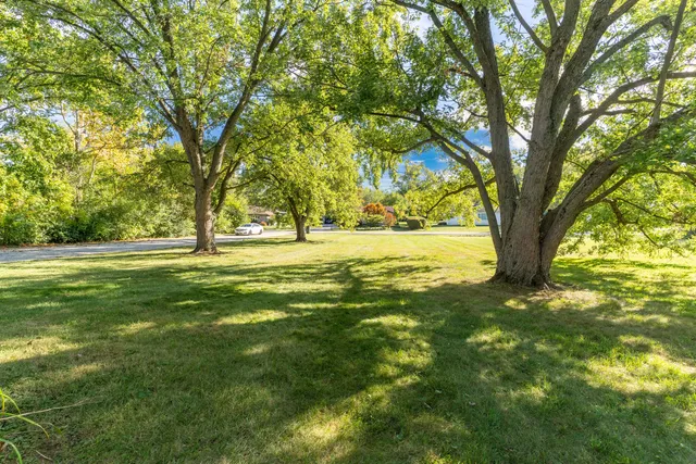 a view of yard with green space