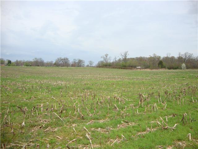0 Riddle Road Manchester, TN 37355 - Photo 1 of 2 Gallery Image 1
