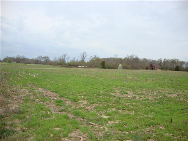 0 Riddle Road Manchester, TN 37355 - Photo 2 of 2 Gallery Image 2