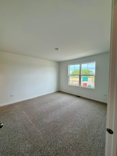 2136 Bodega Road, Unit 2136 Oswego, IL 60543 - Photo 13 of 19