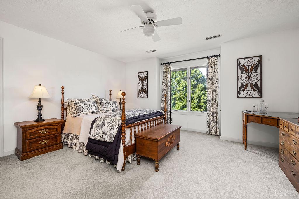 112 Haines Point Terrace Forest, VA 24551 - Photo 54 of 83