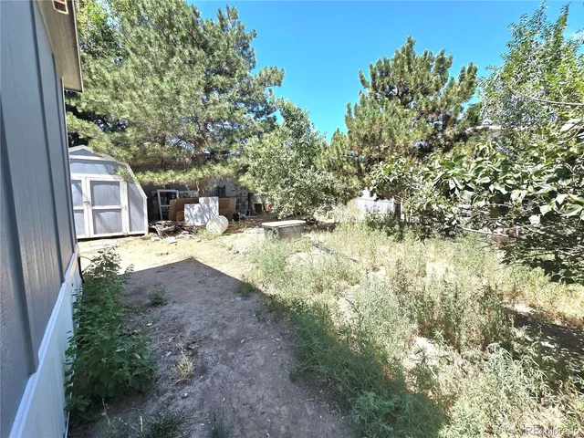 a view of backyard of house