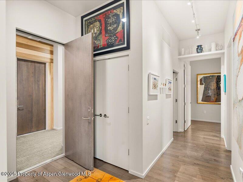 102 Evans Road, Unit 107 Basalt, CO 81621 - Photo 10 of 25 a view of a hallway with closet and a fireplace