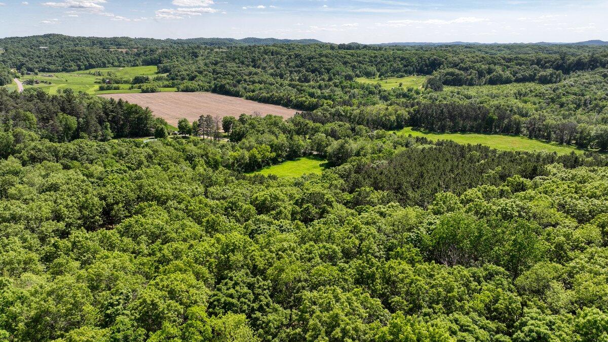 DJI_0441_50