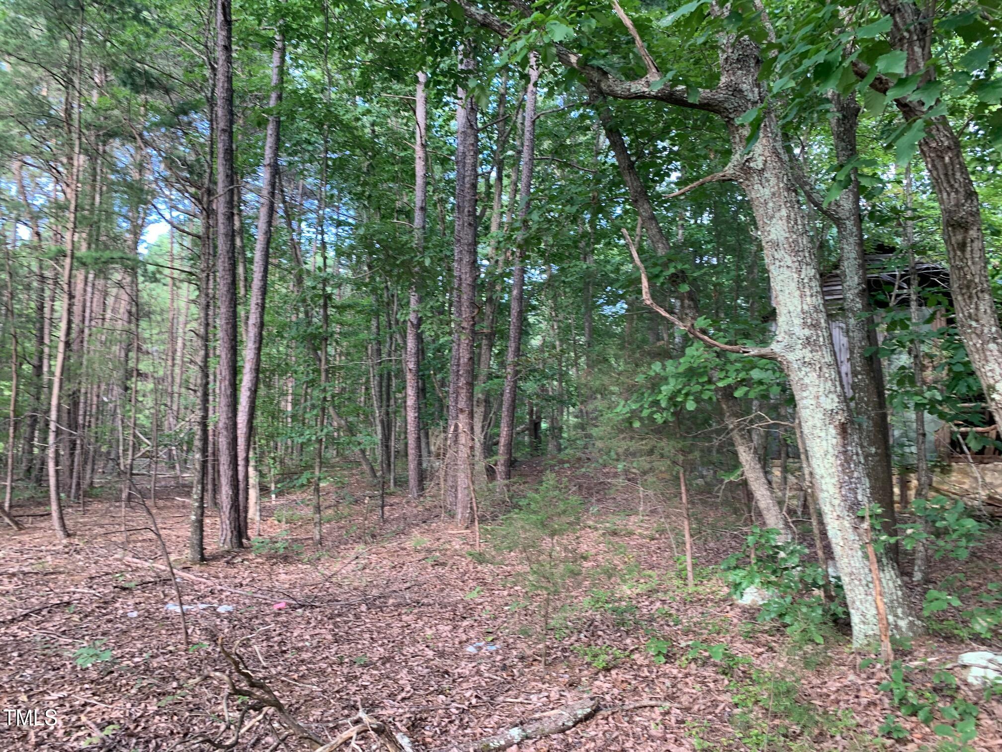 0 Ruff Davis Road Roxboro, NC 27574 - Photo 6 of 9 a view of a forest that has large trees