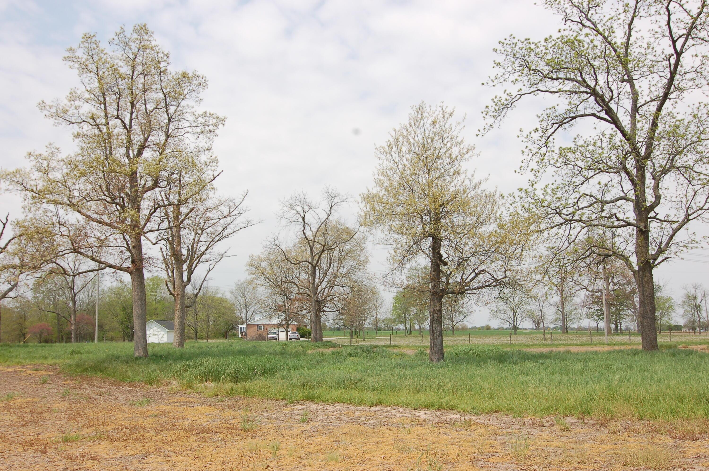 0 Rosedale-plain Rosedale-Plain City Road, Unit TRACT 1 Irwin, OH 43029 - Photo 24 of 28 View West from the Home Site