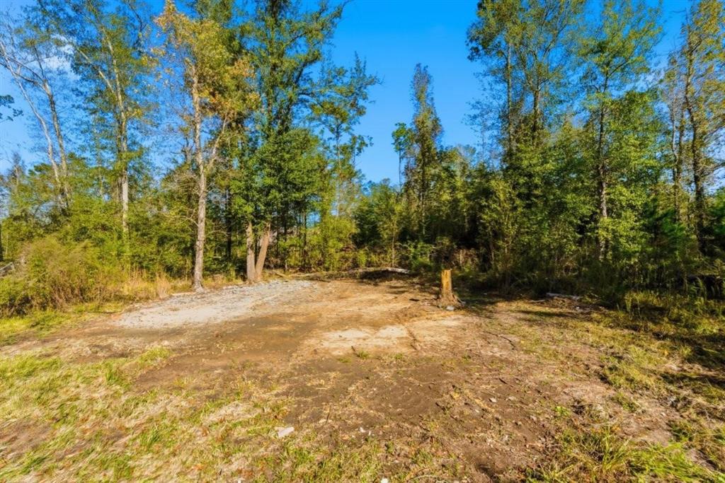 594 1st Pentecostal Church Road Longville, LA 70652 - Photo 11 of 15