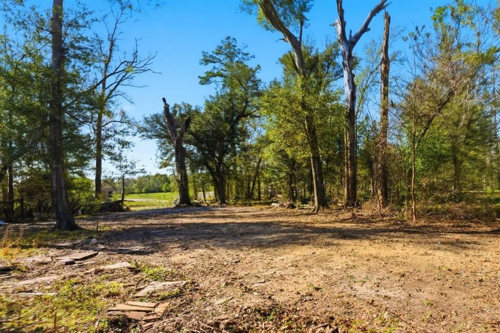 594 1st Pentecostal Church Road Longville, LA 70652 - Photo 12 of 15