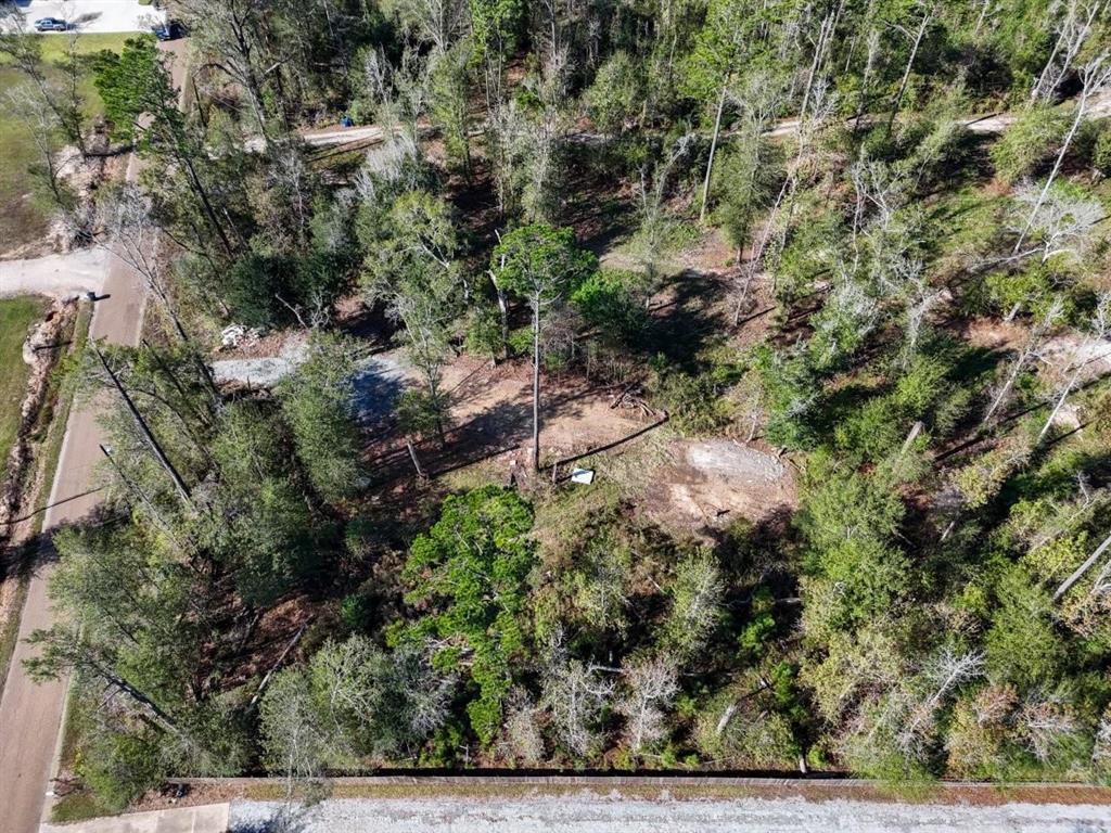 594 1st Pentecostal Church Road Longville, LA 70652 - Photo 4 of 15