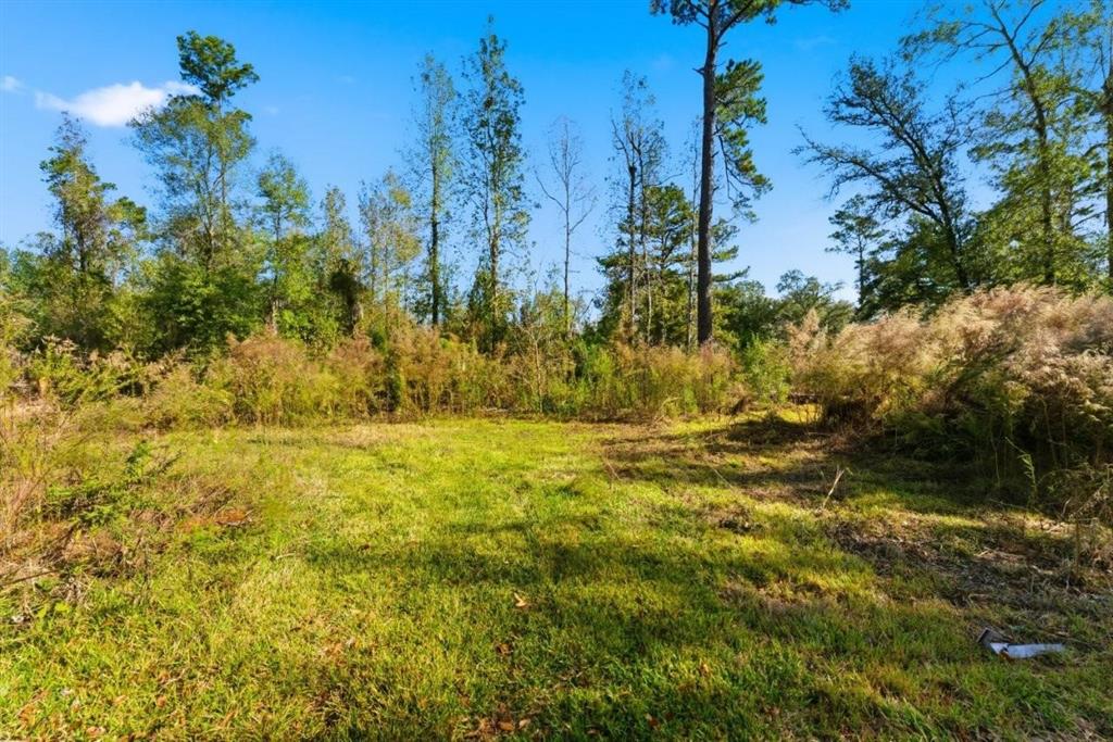 594 1st Pentecostal Church Road Longville, LA 70652 - Photo 9 of 15