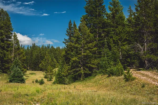 $159,999 | 5347 Monitor, Leadville, CO 80461