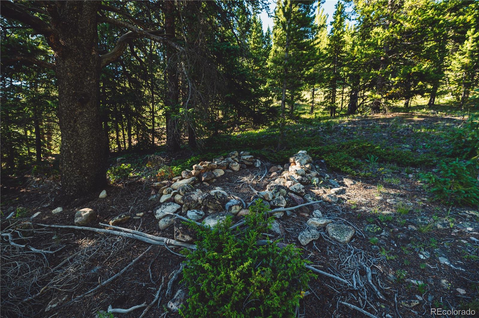 5347 Monitor Leadville, CO 80461 - Photo 24 of 37