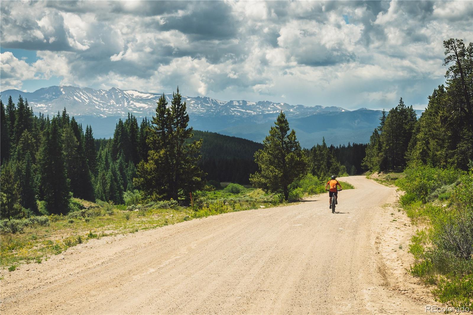 5347 Monitor Leadville, CO 80461 - Photo 26 of 37