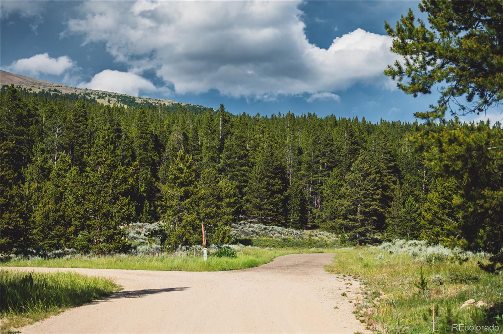 5347 Monitor Leadville, CO 80461 - Photo 31 of 37