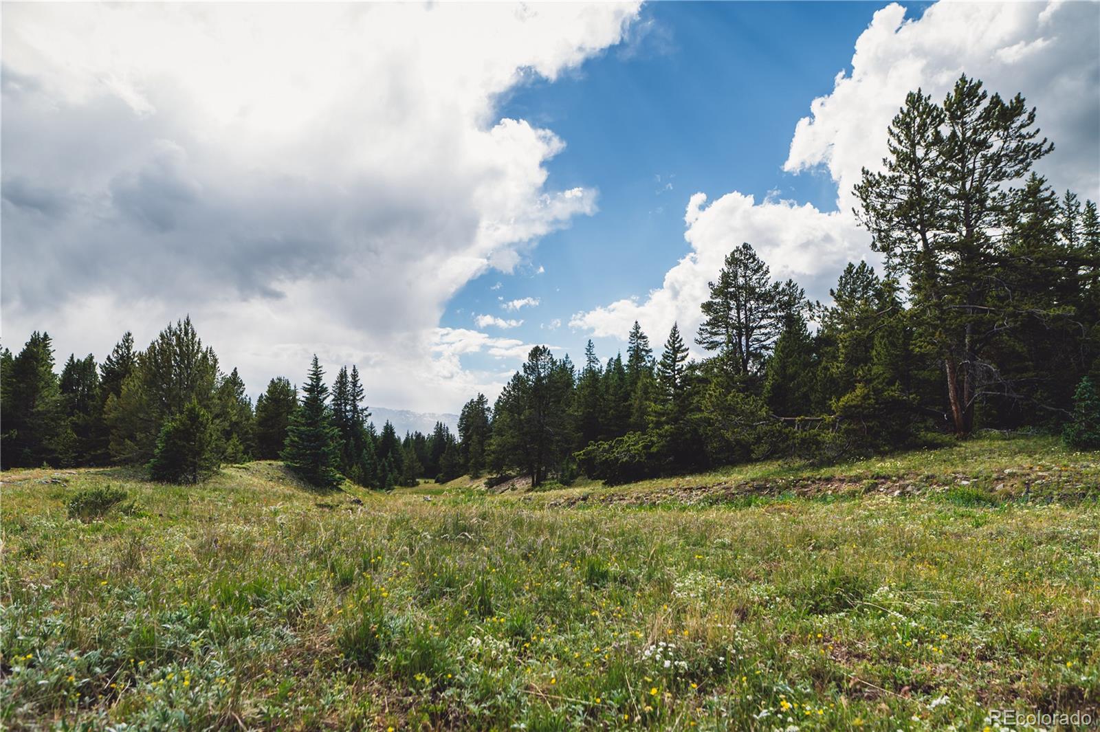 5347 Monitor Leadville, CO 80461 - Photo 6 of 37