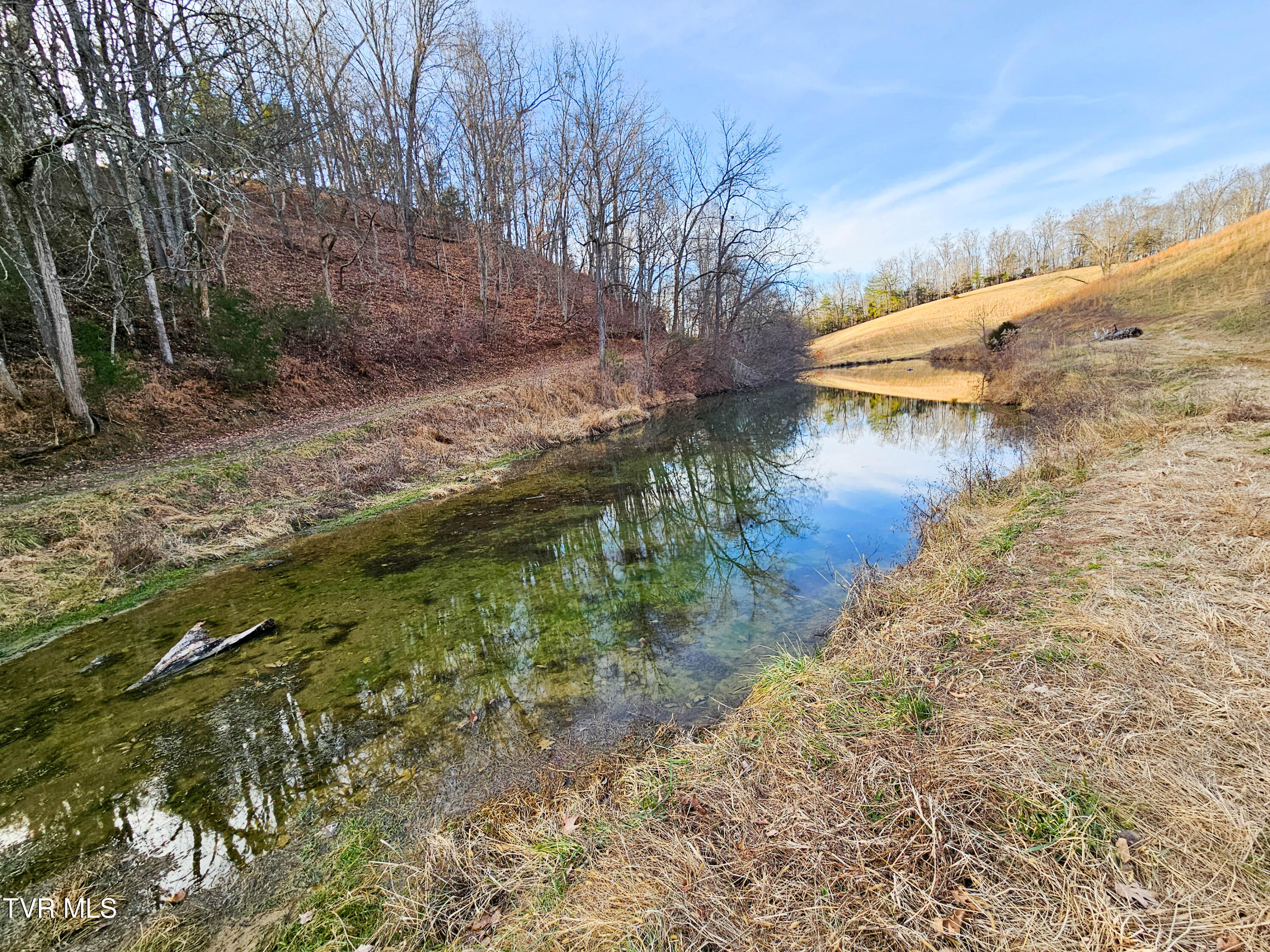 760 Church Road Fall Branch, TN 37656 - Photo 12 of 49 20260105_155351