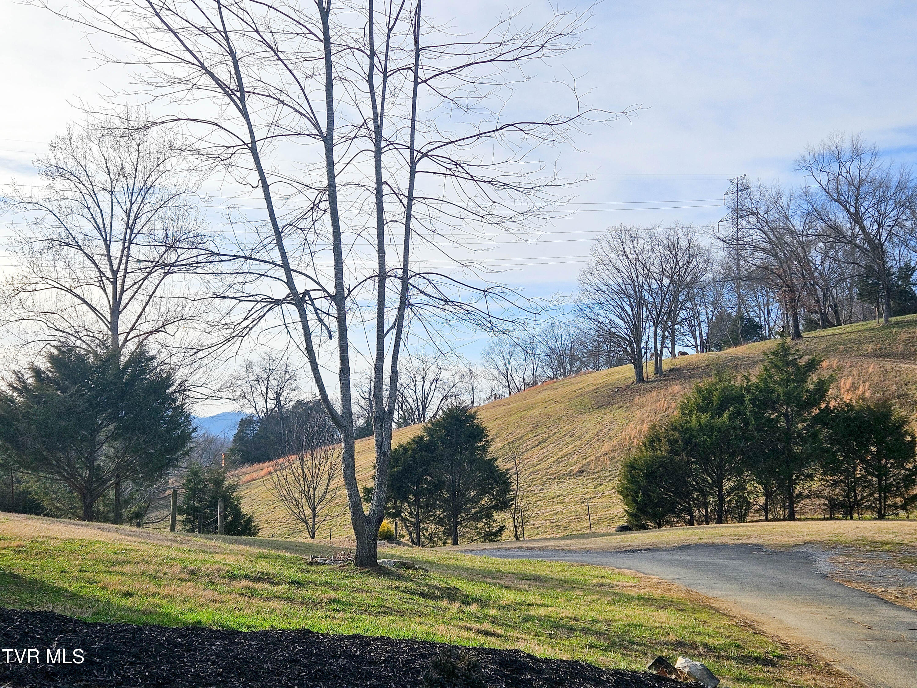 760 Church Road Fall Branch, TN 37656 - Photo 31 of 49 20260105_154149