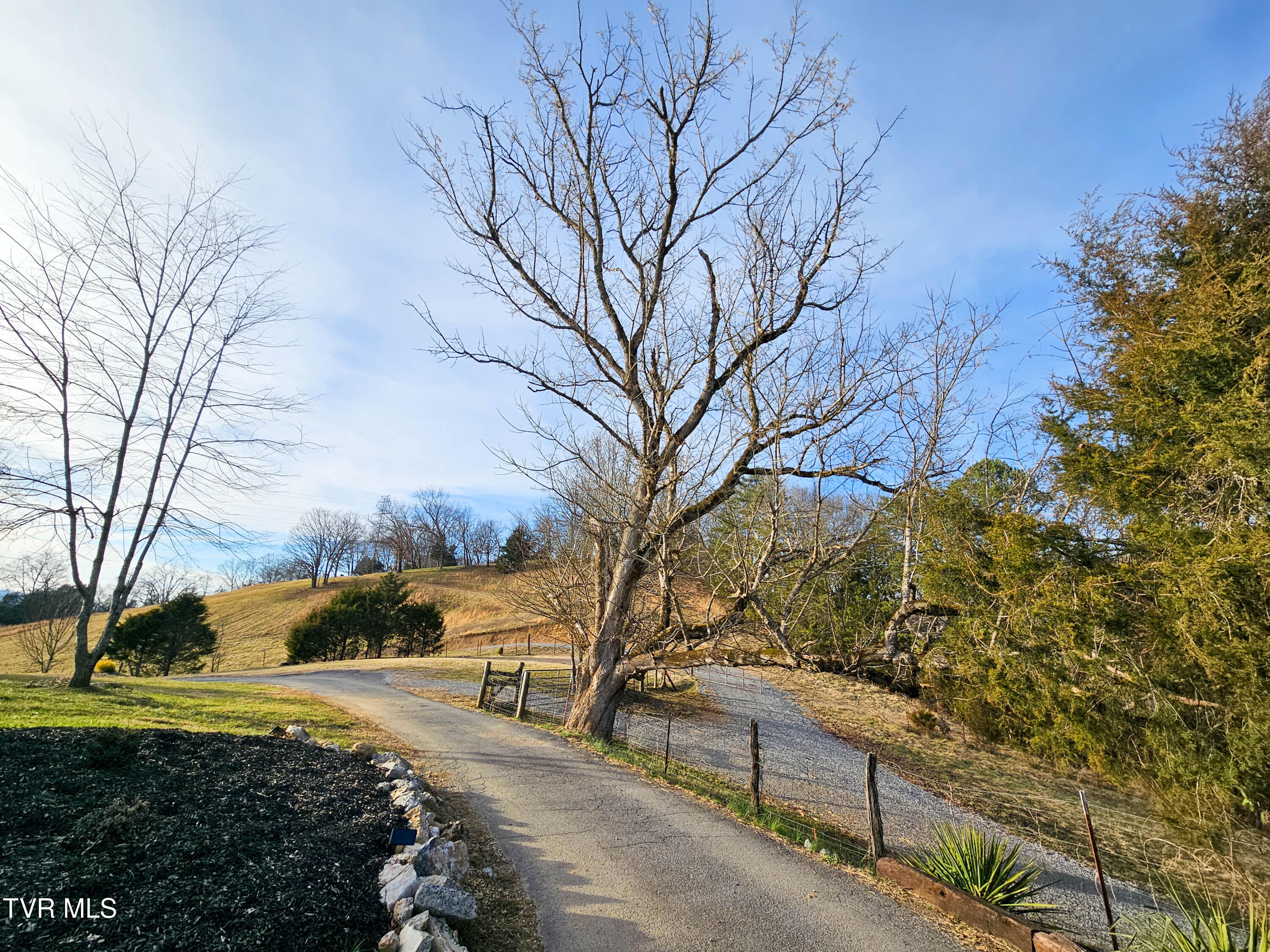 760 Church Road Fall Branch, TN 37656 - Photo 32 of 49 20260105_154159