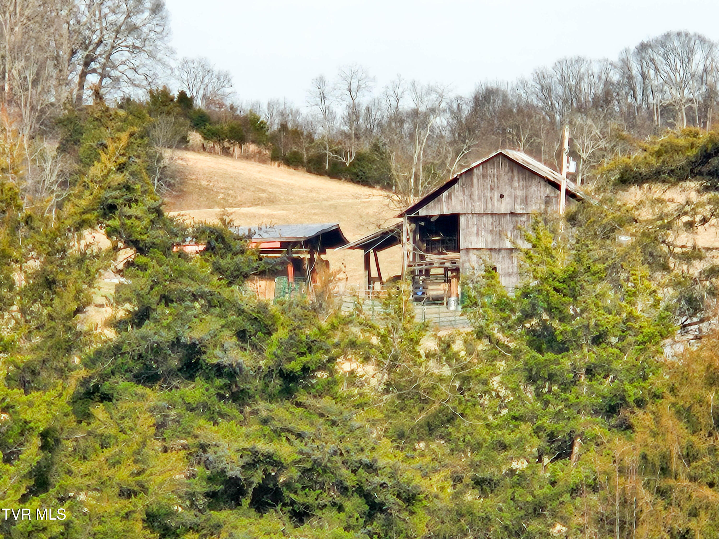 760 Church Road Fall Branch, TN 37656 - Photo 34 of 49 20260105_154252