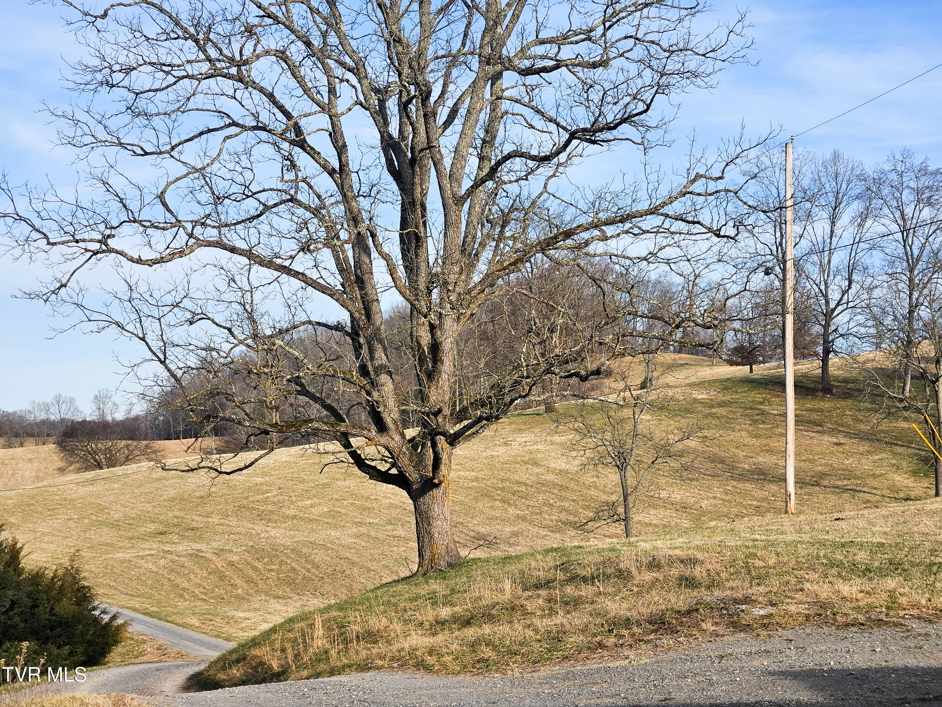 760 Church Road Fall Branch, TN 37656 - Photo 35 of 49 20260105_154317