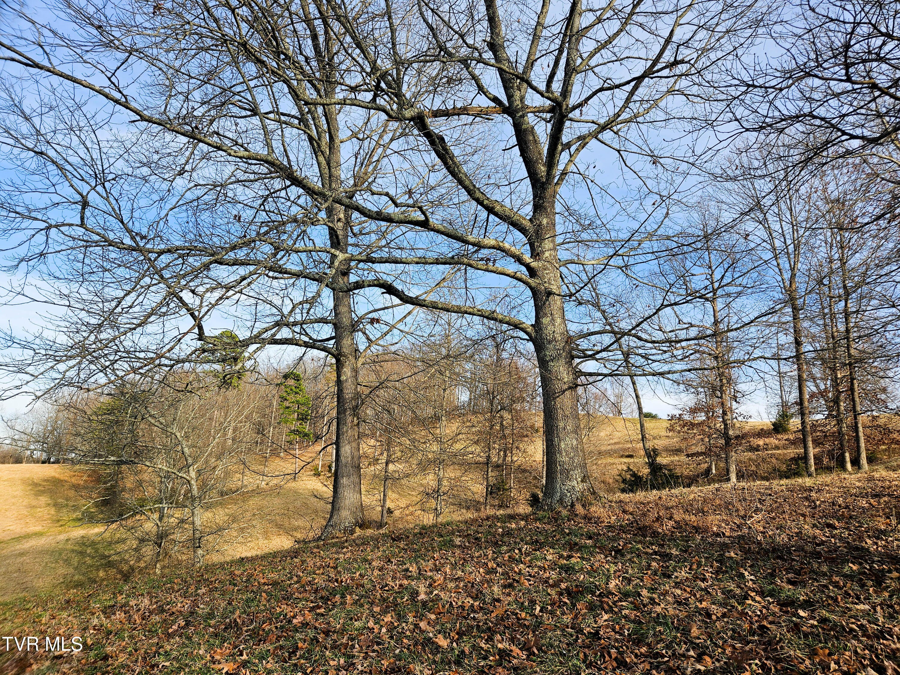 760 Church Road Fall Branch, TN 37656 - Photo 41 of 49 20260105_155031