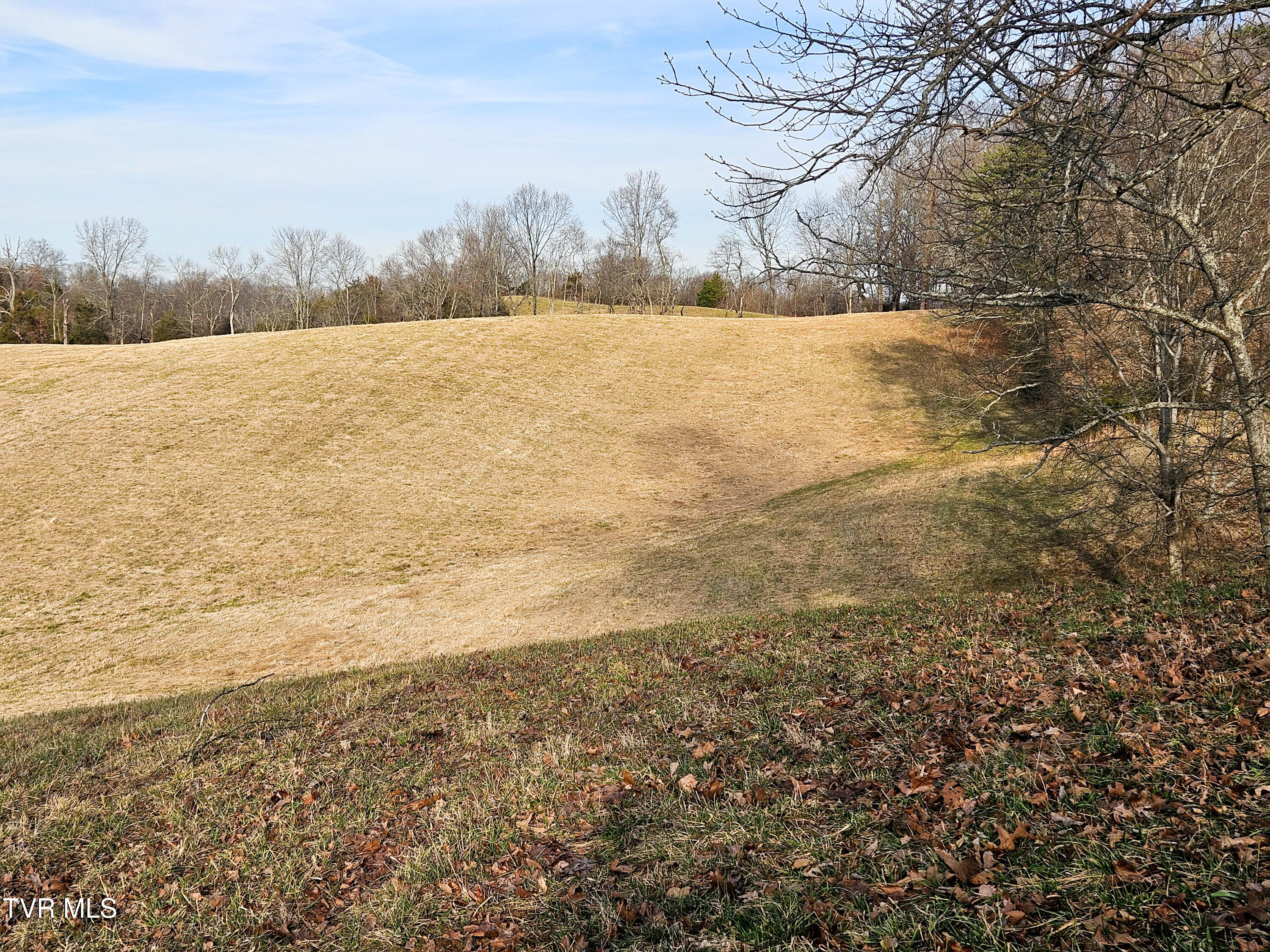 760 Church Road Fall Branch, TN 37656 - Photo 43 of 49 20260105_155049