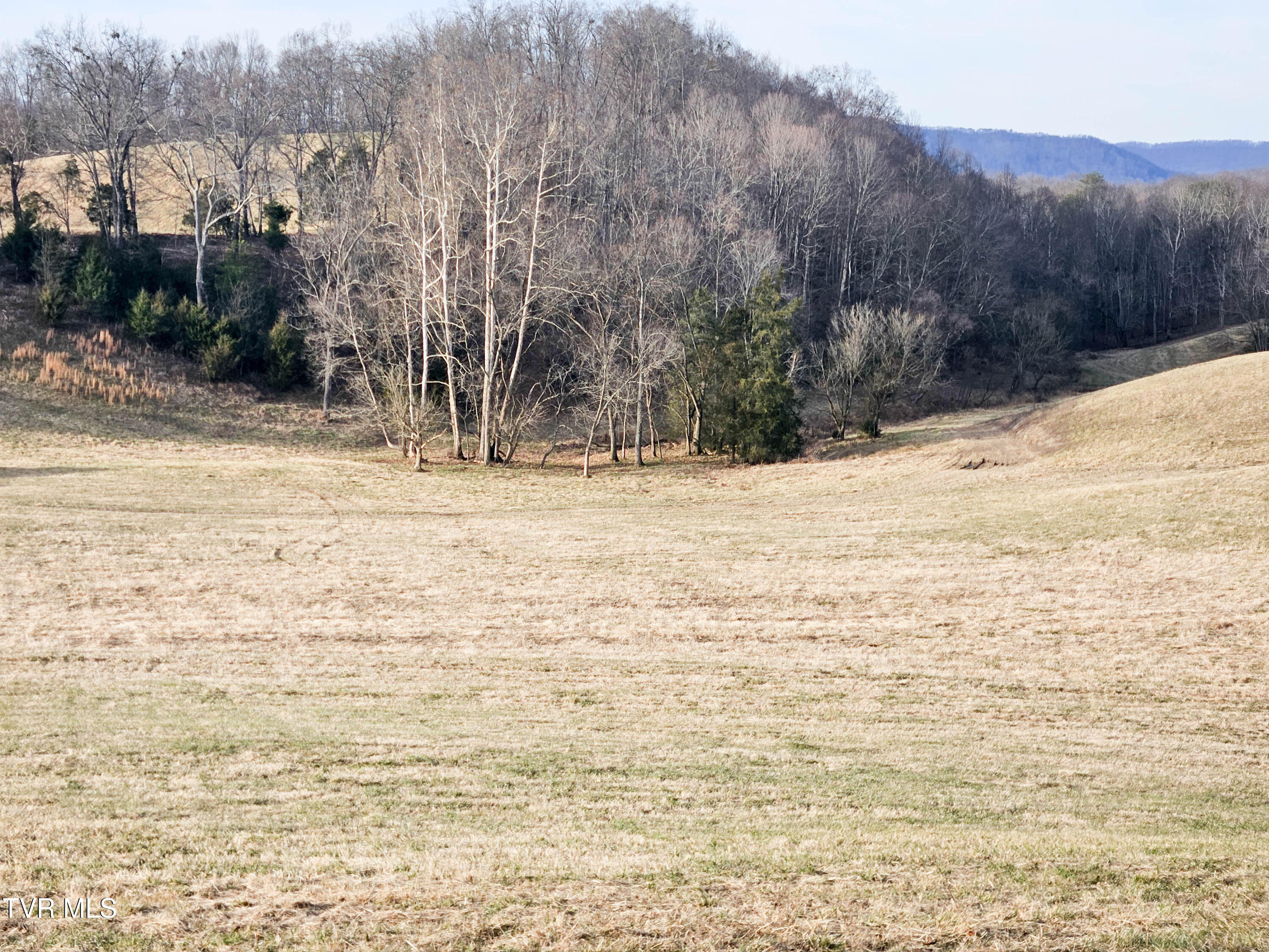 760 Church Road Fall Branch, TN 37656 - Photo 47 of 49 20260105_155117