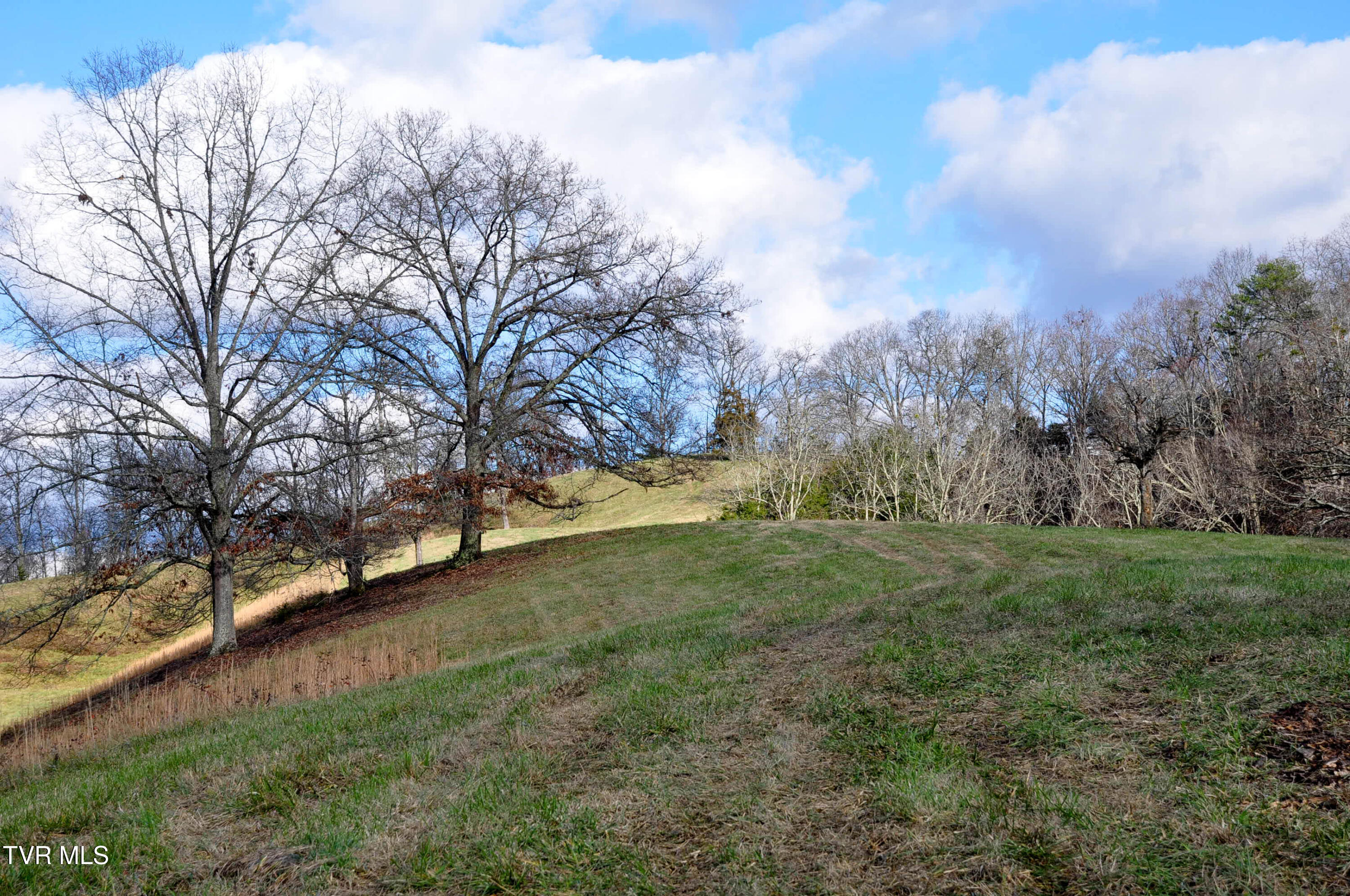 760 Church Road Fall Branch, TN 37656 - Photo 10 of 49 DSC_5714