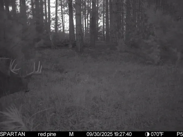 $1,295,000 | 7200 East 46 Road, Cadillac, MI 49601