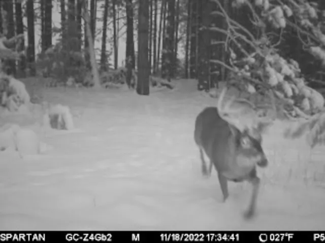 $1,295,000 | 7200 East 46 Road, Cadillac, MI 49601