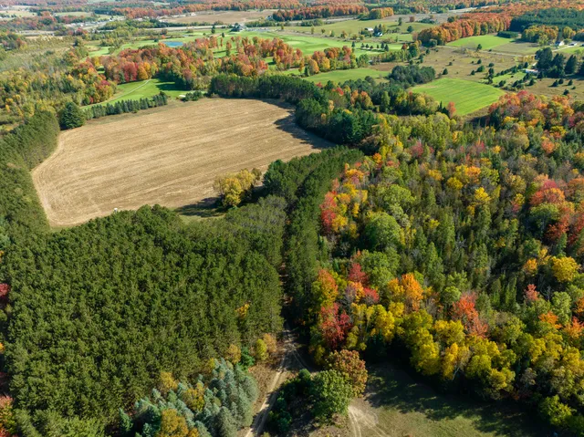 $1,295,000 | 7200 East 46 Road, Cadillac, MI 49601