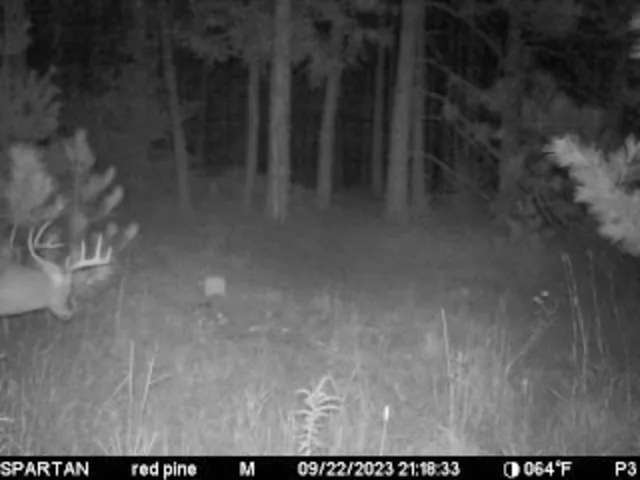 $1,295,000 | 7200 East 46 Road, Cadillac, MI 49601