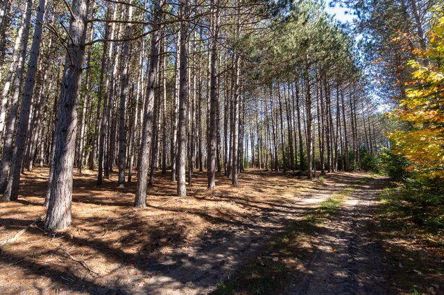 $1,295,000 | 7200 East 46 Road, Cadillac, MI 49601