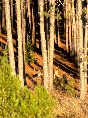 $1,295,000 | 7200 East 46 Road, Cadillac, MI 49601