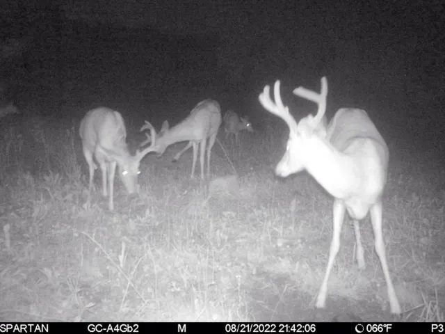 $1,295,000 | 7200 East 46 Road, Cadillac, MI 49601