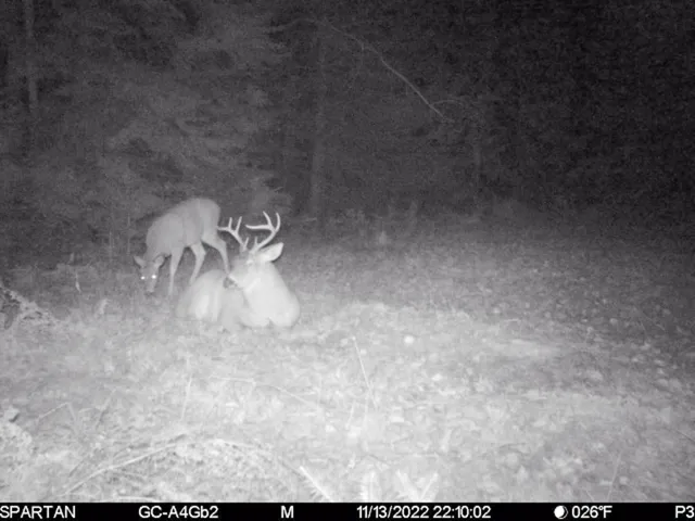 $1,295,000 | 7200 East 46 Road, Cadillac, MI 49601