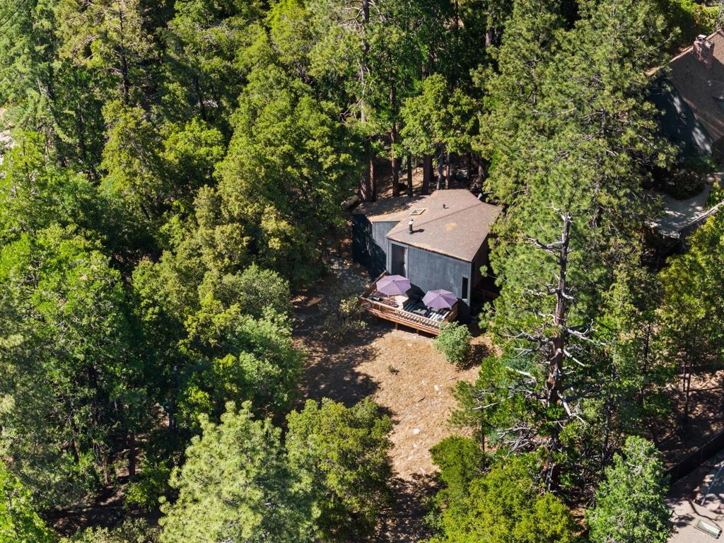 25650 Glen Road Idyllwild, CA 92549 - Photo 32 of 32 a view of a back yard with a tree
