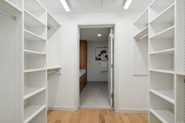 a view of an empty walk in closet